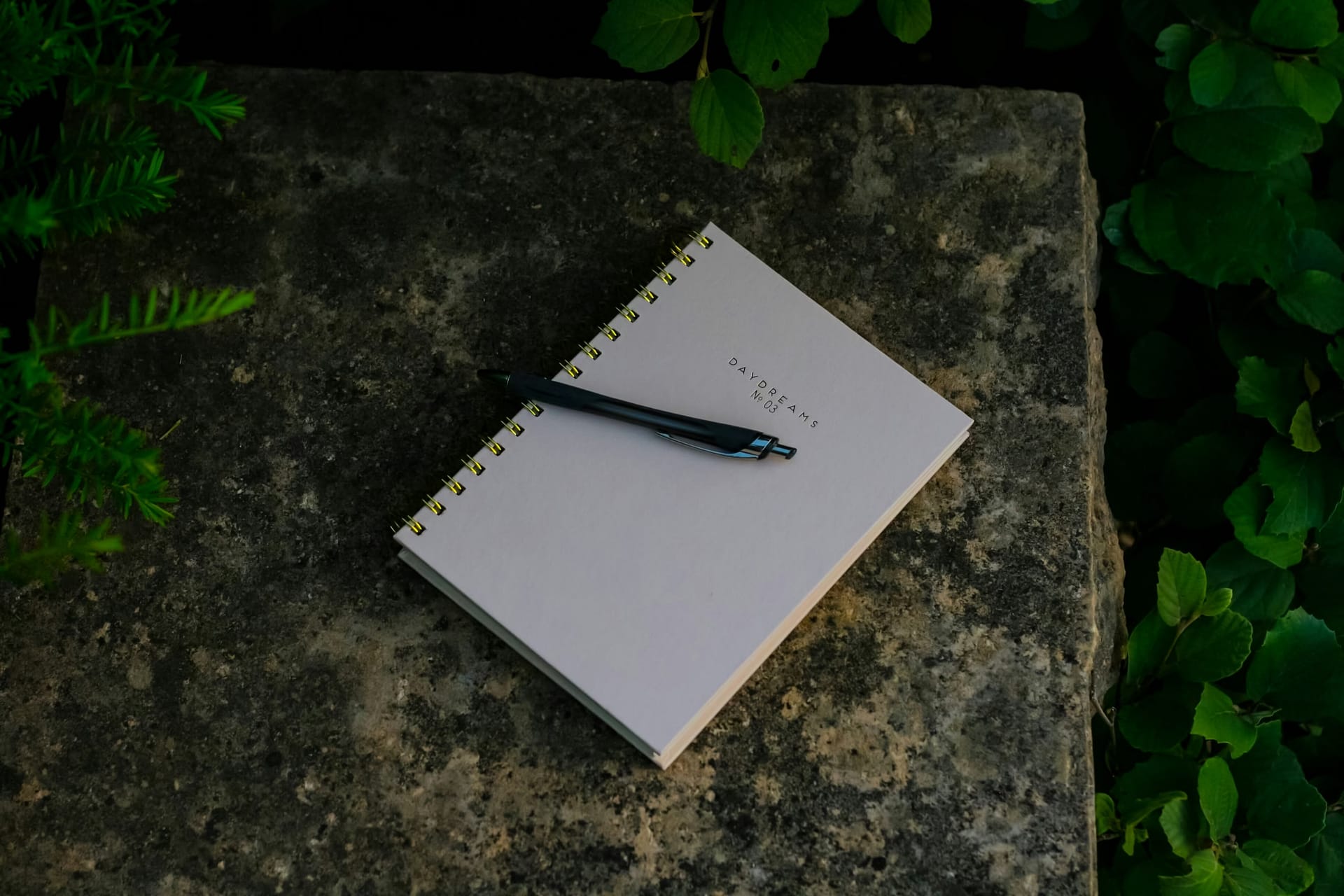 Journal in the woods surrounded by nature