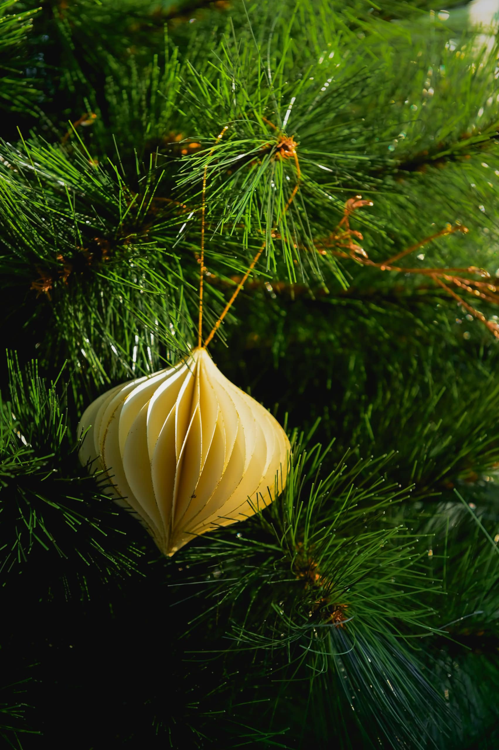 holiday ornament on a tree